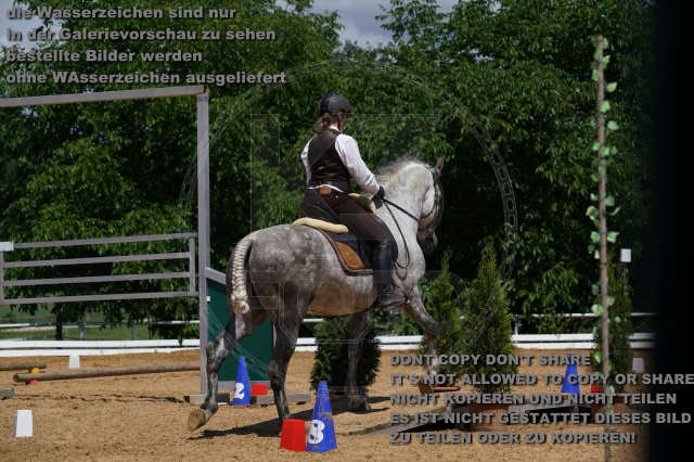 s_K3F04571.JPG